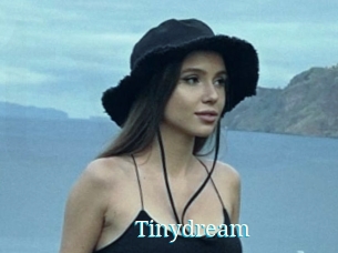 Tinydream
