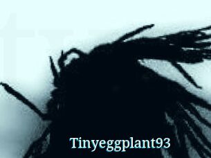 Tinyeggplant93