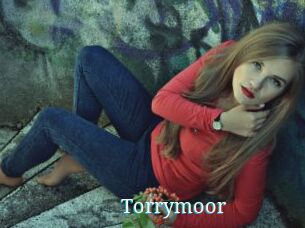 Torrymoor