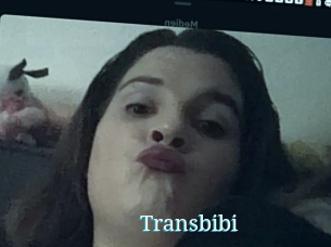 Transbibi