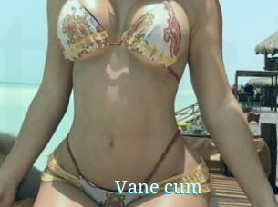 Vane_cum