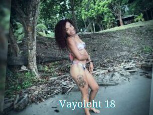 Vayoleht_18