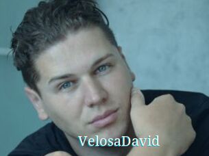 VelosaDavid