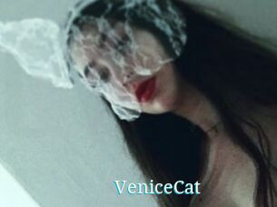 VeniceCat