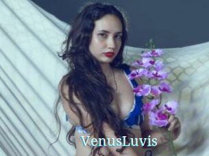 VenusLuvis