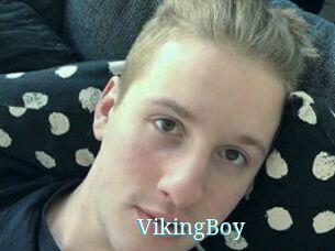 VikingBoy
