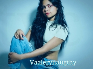 Vaalerynaugthy