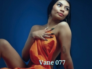 Vane_077