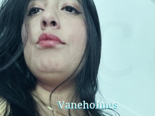 Vaneholmes