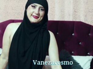 Vanezacosmo