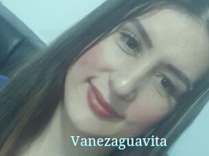 Vanezaguavita