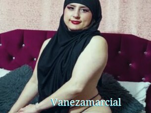 Vanezamarcial