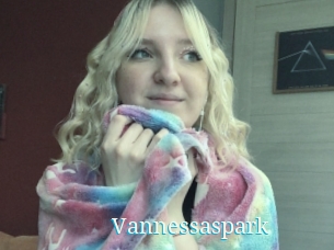 Vannessaspark