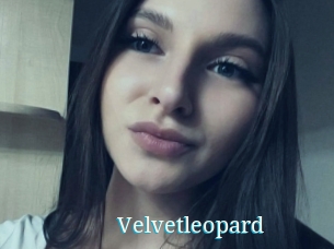 Velvetleopard