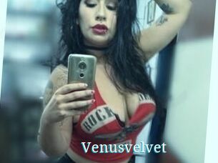 Venusvelvet