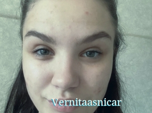 Vernitaasnicar