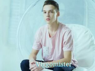 Viggomister