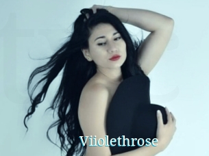 Viiolethrose