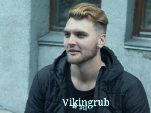Vikingrub