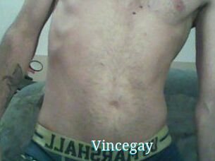 Vincegay