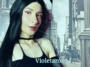 Violetarose