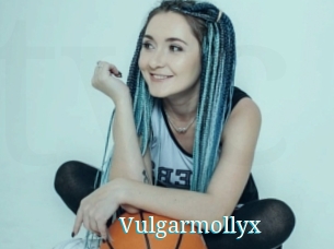 Vulgarmollyx