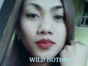 WILD_HOTrose