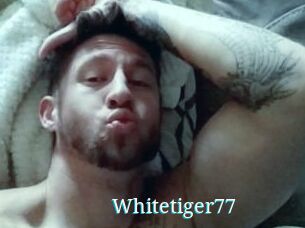 Whitetiger77