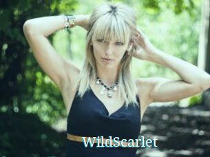 WildScarlet