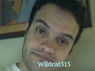 Wildcat315