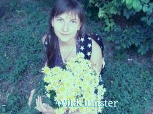 Wildcumster