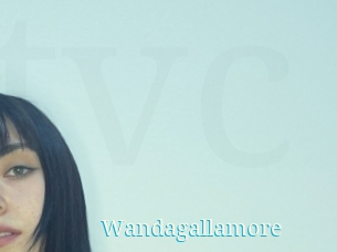 Wandagallamore