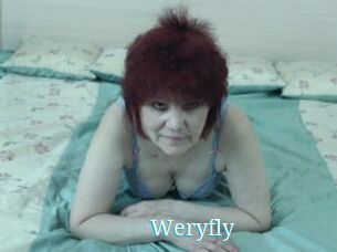 Weryfly