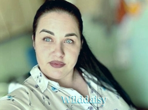 Wilddaisy