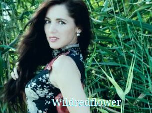 Wildredflower