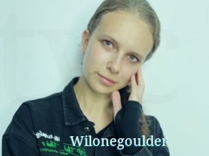Wilonegoulder