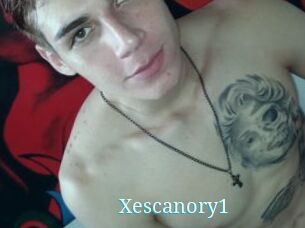 Xescanory1