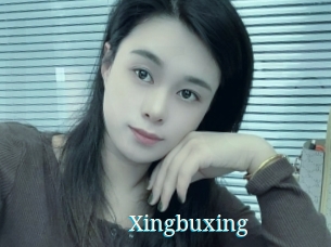 Xingbuxing