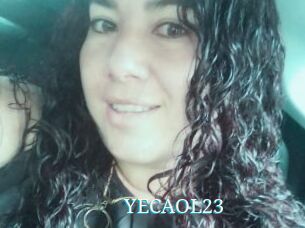 YECAOL23