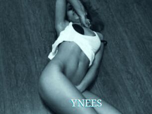YNEES