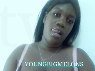 YOUNGBIGMELONS