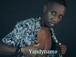 Yandynamo