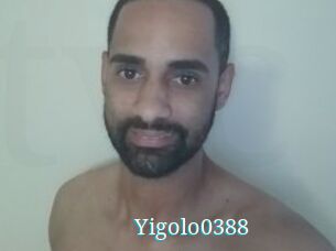 Yigolo0388