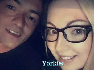 Yorkies