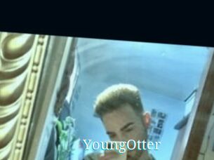 YoungOtter