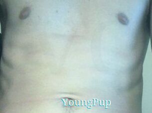 YoungPup