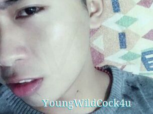 YoungWildCock4u