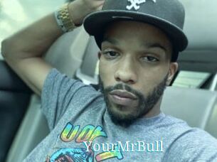 YourMrBull