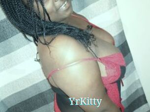 YrKitty