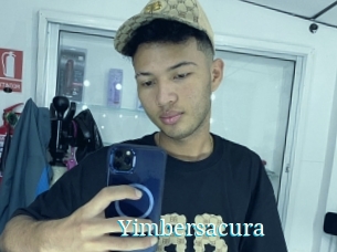 Yimbersacura
